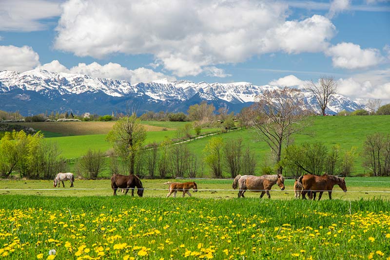 La Cerdanya